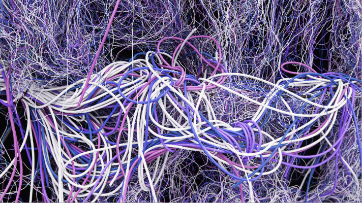 Confession of a Memoirist: Untangling (December 2024)